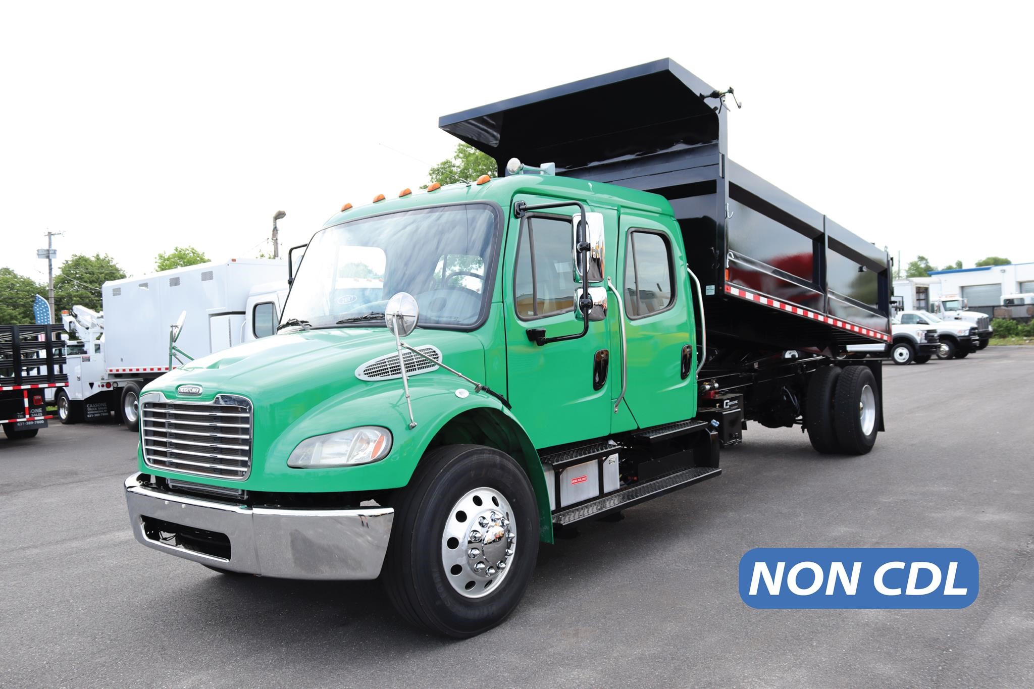 Freightliner BUSINESS CLASS M2 106