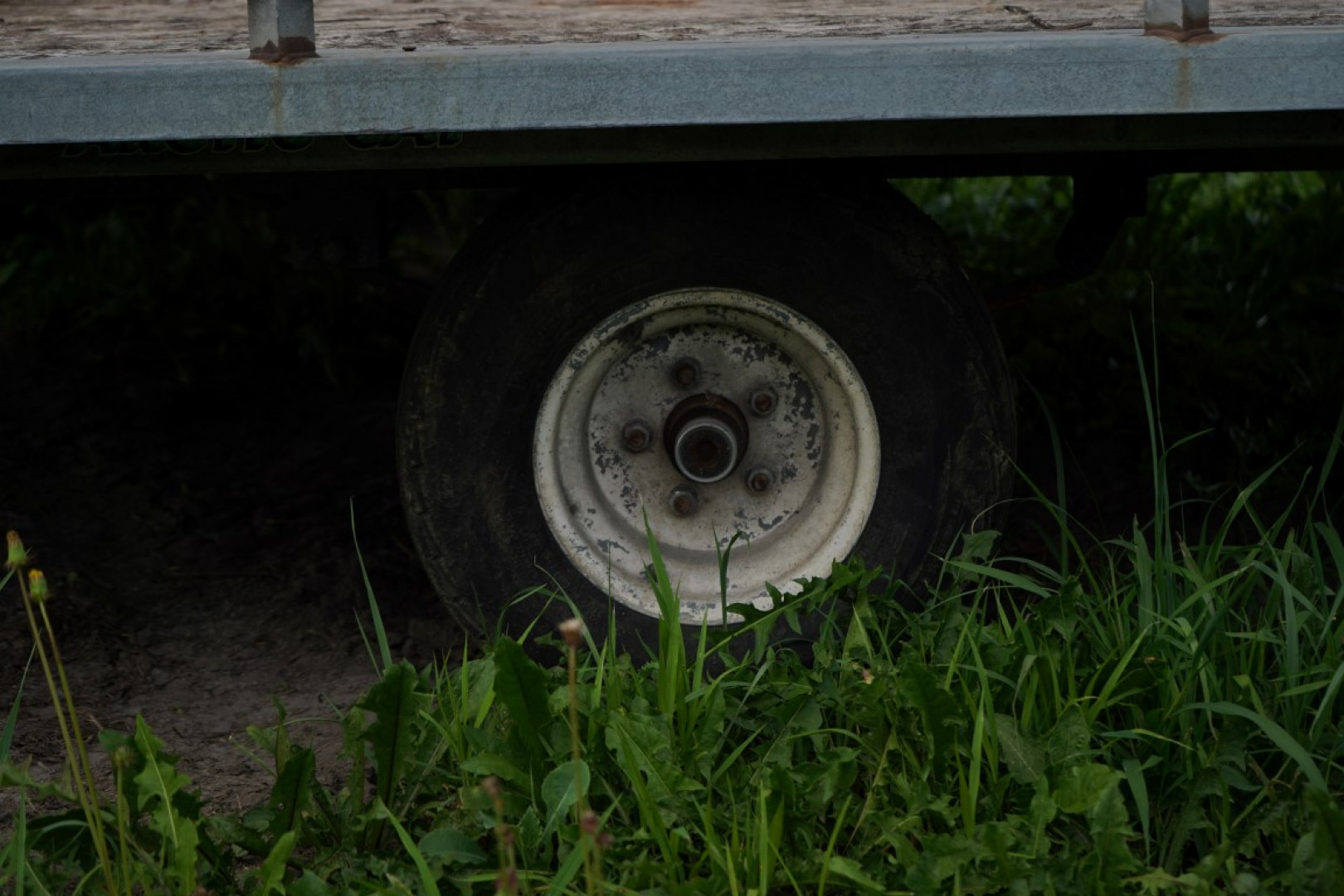 Photo 7